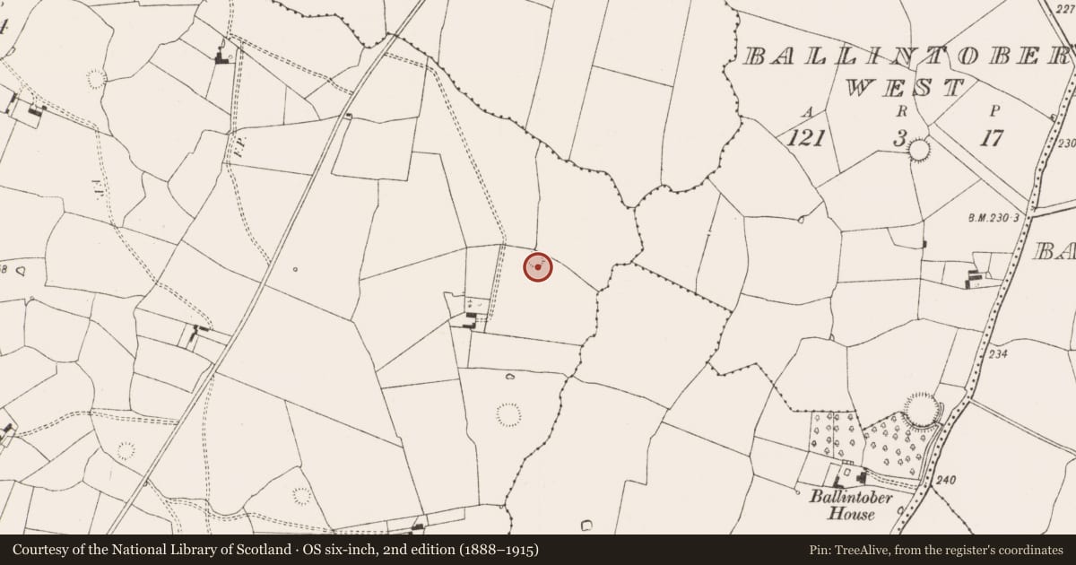Ordnance Survey six-inch map, 2nd edition (1888–1915) covering the location of Ringfort - rath, Camas, County Limerick, with a pin at the register's coordinates