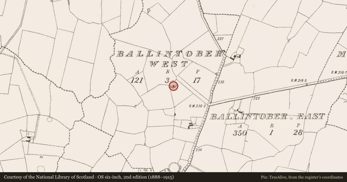Ordnance Survey six-inch map, 2nd edition (1888–1915) covering the location of Ringfort - rath, Ballintober West, County Limerick, with a pin at the register's coordinates