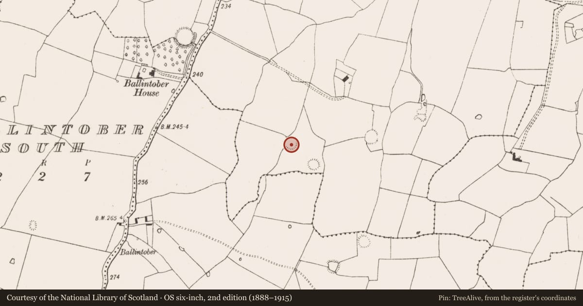 Ordnance Survey six-inch map, 2nd edition (1888–1915) covering the location of Enclosure, Ballintober East, County Limerick, with a pin at the register's coordinates
