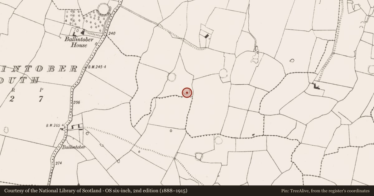 Ordnance Survey six-inch map, 2nd edition (1888–1915) covering the location of Ringfort - rath, Ballintober East, County Limerick, with a pin at the register's coordinates