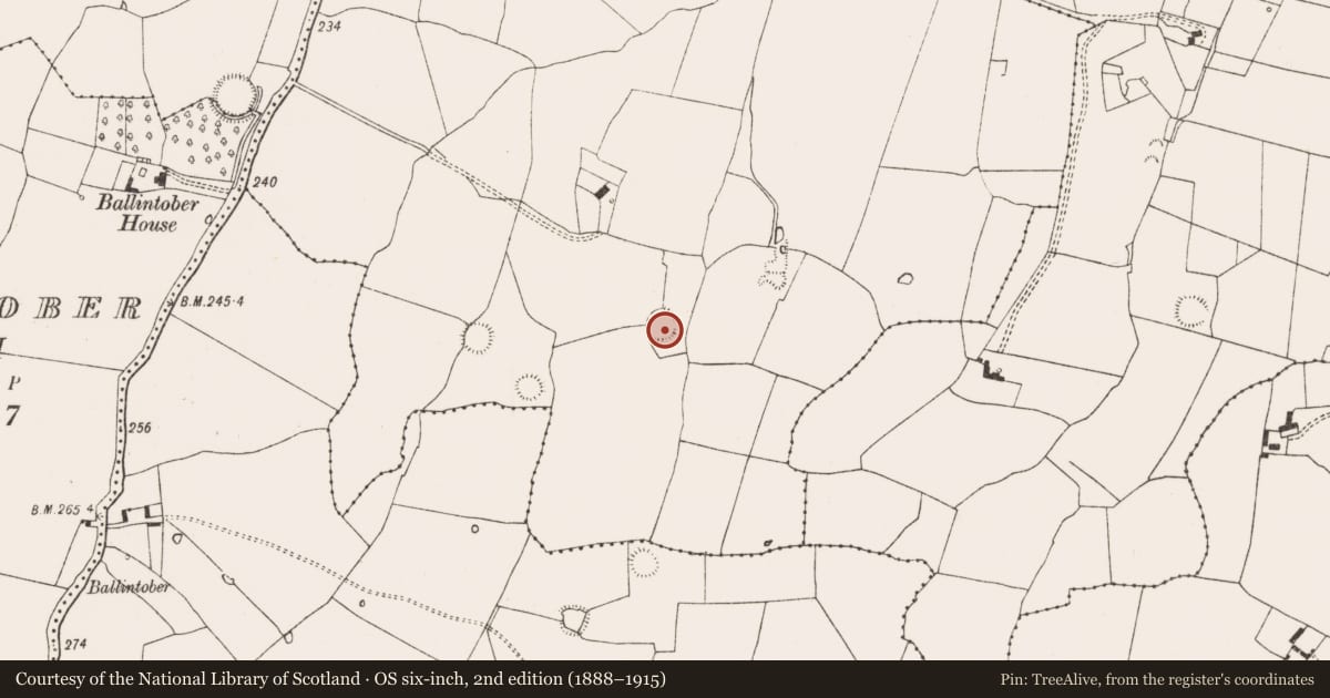 Ordnance Survey six-inch map, 2nd edition (1888–1915) covering the location of Enclosure, Ballintober East, County Limerick, with a pin at the register's coordinates