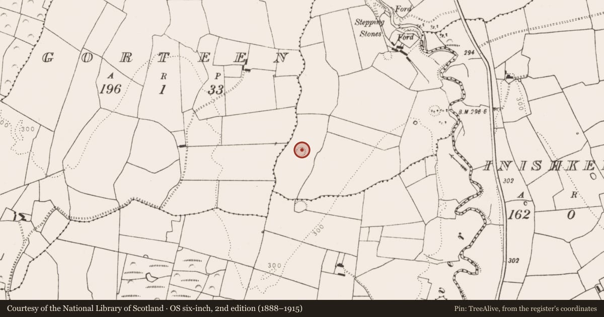 Ordnance Survey six-inch map, 2nd edition (1888–1915) covering the location of Ringfort - rath, Ahawilk, County Limerick, with a pin at the register's coordinates