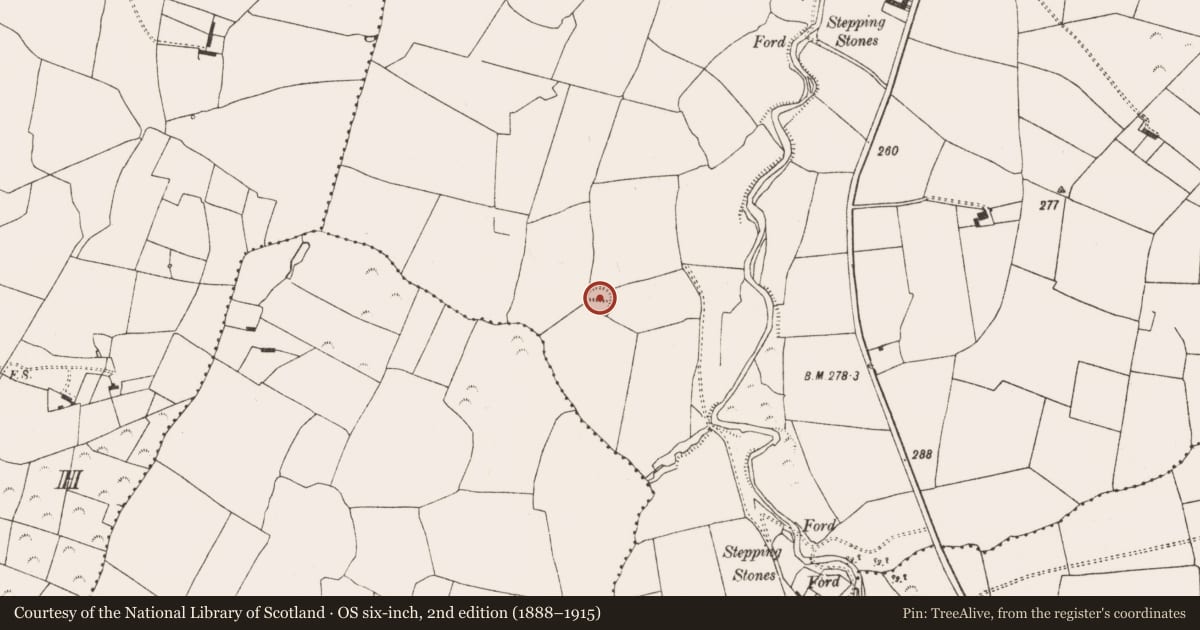 Ordnance Survey six-inch map, 2nd edition (1888–1915) covering the location of Ringfort - rath, Ahawilk, County Limerick, with a pin at the register's coordinates