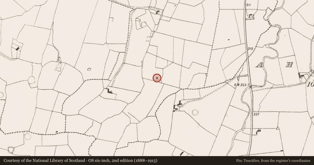 Ordnance Survey six-inch map, 2nd edition (1888–1915) covering the location of Ringfort - rath, Moanroe More, County Limerick, with a pin at the register's coordinates