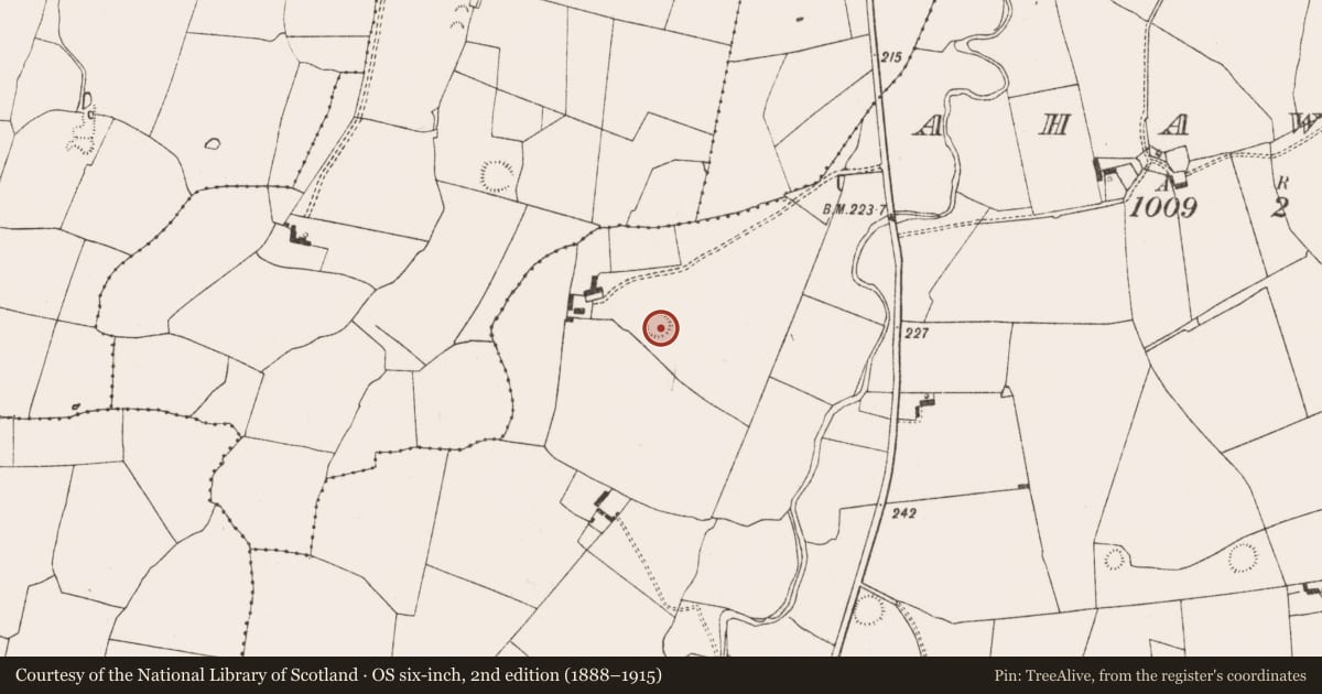 Ordnance Survey six-inch map, 2nd edition (1888–1915) covering the location of Ringfort - rath, Ahawilk, County Limerick, with a pin at the register's coordinates