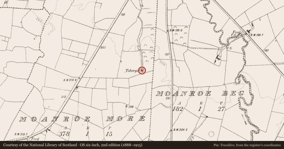 Ordnance Survey six-inch map, 2nd edition (1888–1915) covering the location of Ritual site - holy well, Moanroe More, County Limerick, with a pin at the register's coordinates