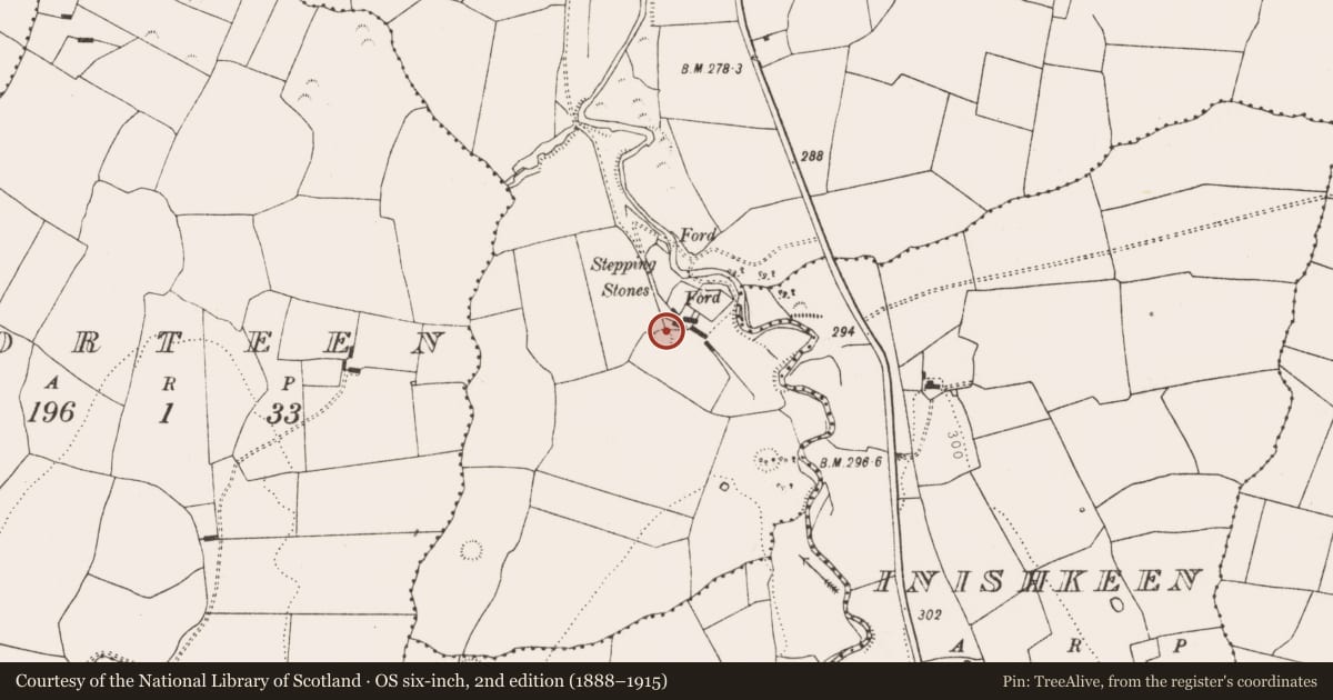 Ordnance Survey six-inch map, 2nd edition (1888–1915) covering the location of Ringfort - rath, Ahawilk, County Limerick, with a pin at the register's coordinates