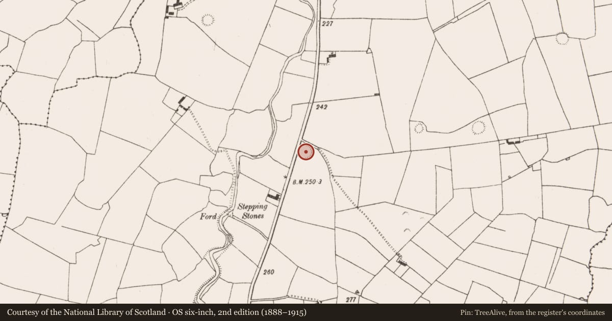 Ordnance Survey six-inch map, 2nd edition (1888–1915) covering the location of Ringfort - rath, Ahawilk, County Limerick, with a pin at the register's coordinates