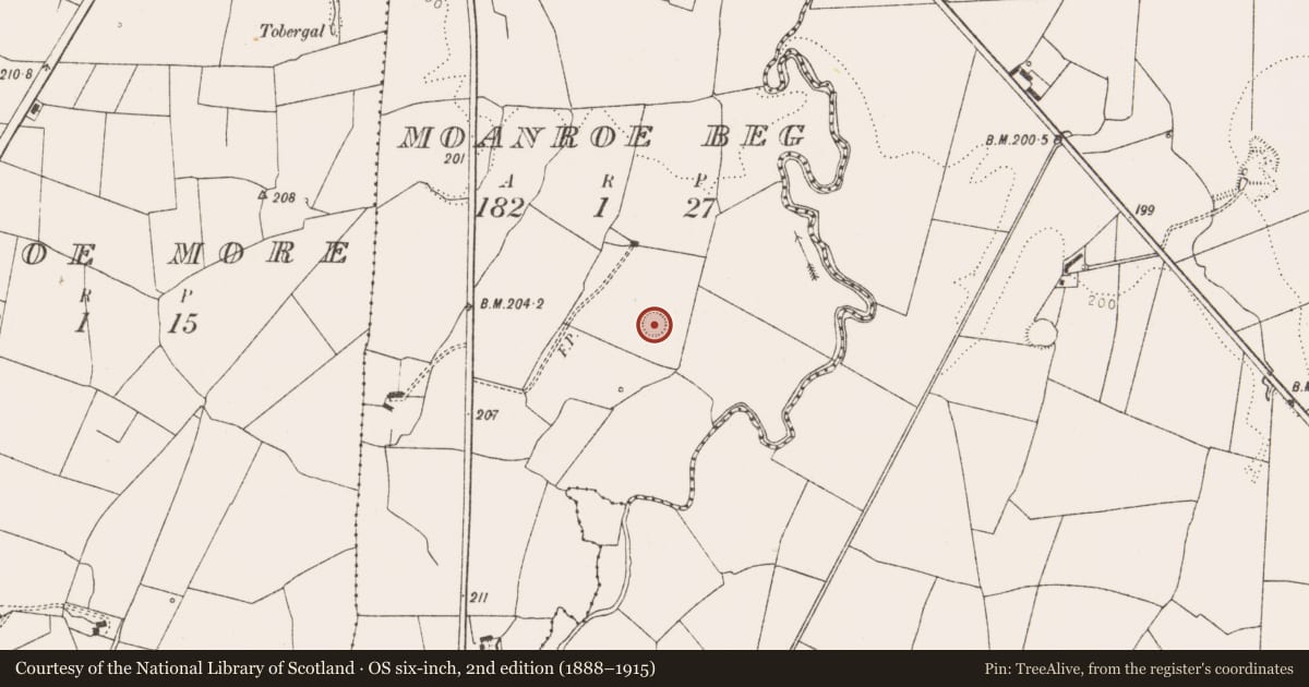 Ordnance Survey six-inch map, 2nd edition (1888–1915) covering the location of Ringfort - rath, Moanroe Beg, County Limerick, with a pin at the register's coordinates