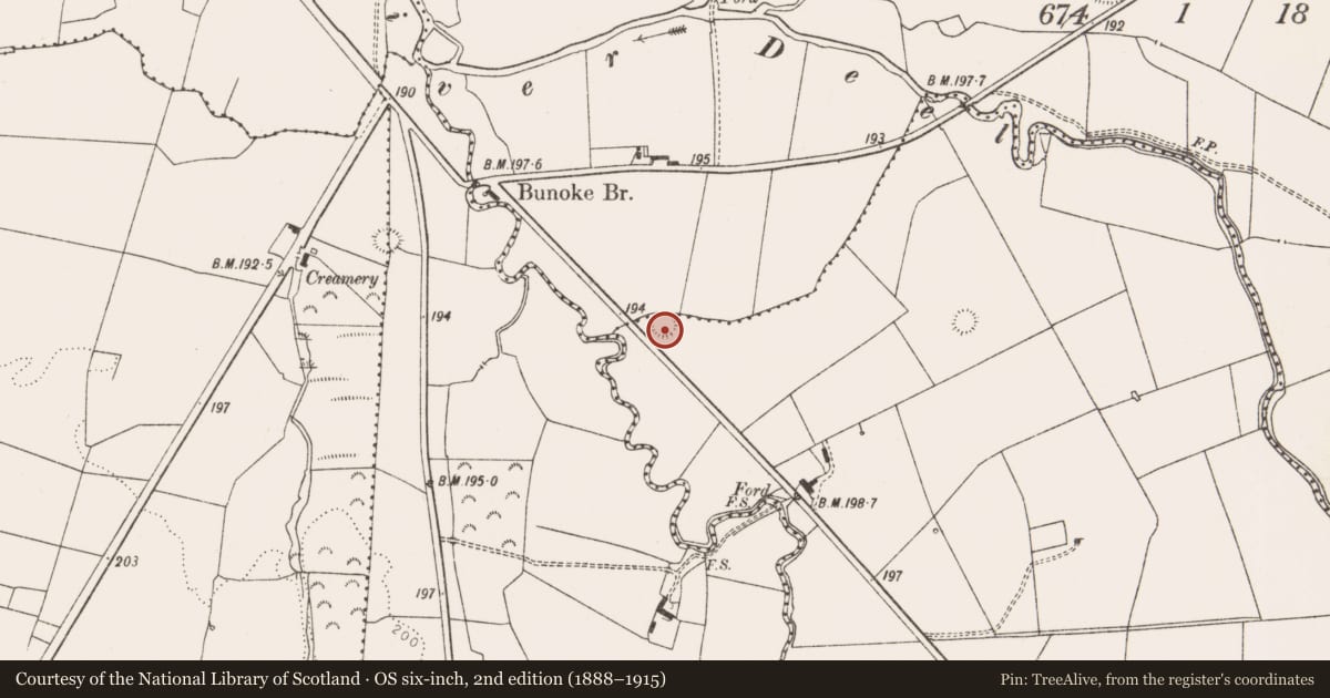 Ordnance Survey six-inch map, 2nd edition (1888–1915) covering the location of Ringfort - rath, Ahawilk, County Limerick, with a pin at the register's coordinates