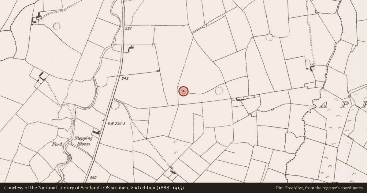 Ordnance Survey six-inch map, 2nd edition (1888–1915) covering the location of Ringfort - rath, Ahawilk, County Limerick, with a pin at the register's coordinates