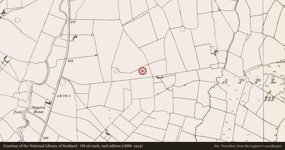 Ordnance Survey six-inch map, 2nd edition (1888–1915) covering the location of Ringfort - rath, Ahawilk, County Limerick, with a pin at the register's coordinates