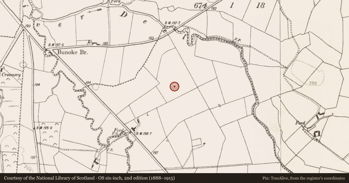 Ordnance Survey six-inch map, 2nd edition (1888–1915) covering the location of Ringfort - rath, Ahawilk, County Limerick, with a pin at the register's coordinates
