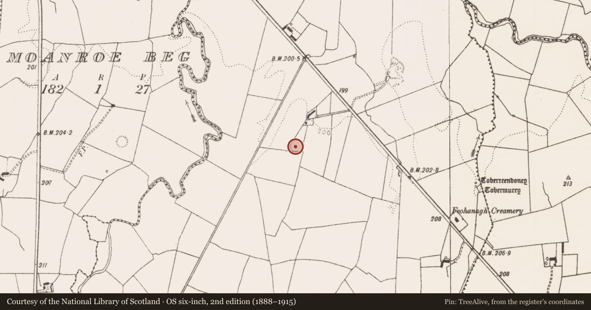 Ordnance Survey six-inch map, 2nd edition (1888–1915) covering the location of Ringfort - rath, Ahawilk, County Limerick, with a pin at the register's coordinates
