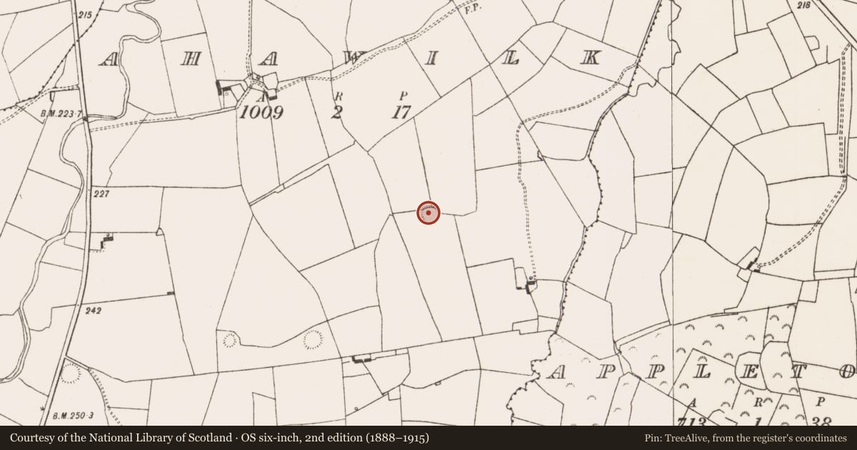 Ordnance Survey six-inch map, 2nd edition (1888–1915) covering the location of Ringfort - rath, Ahawilk, County Limerick, with a pin at the register's coordinates