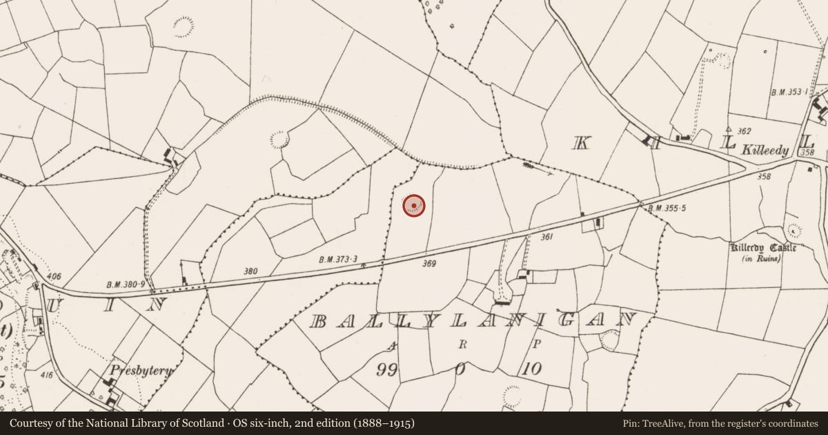 Ordnance Survey six-inch map, 2nd edition (1888–1915) covering the location of Ringfort - rath, Ballylanigan, County Limerick, with a pin at the register's coordinates