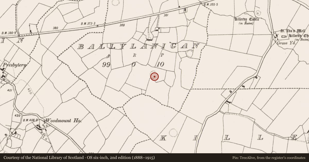 Ordnance Survey six-inch map, 2nd edition (1888–1915) covering the location of Ringfort - rath, Ballylanigan, County Limerick, with a pin at the register's coordinates