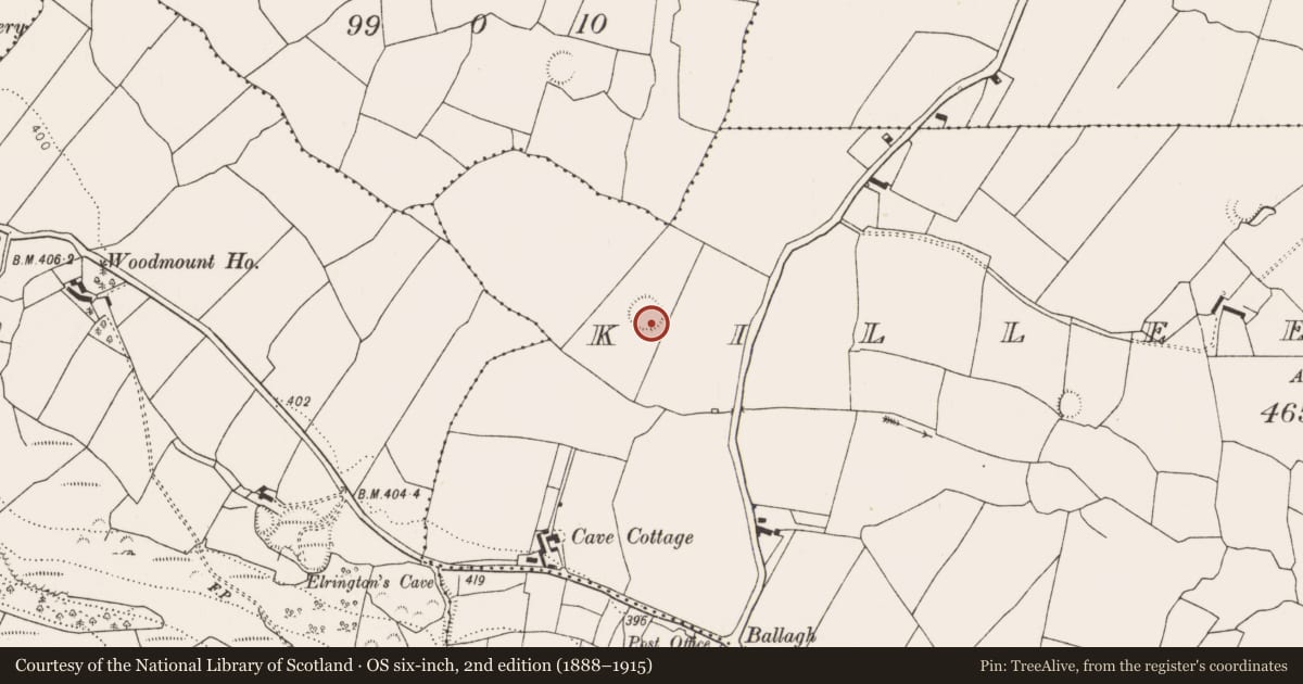 Ordnance Survey six-inch map, 2nd edition (1888–1915) covering the location of Ringfort - rath, Killeedy South, County Limerick, with a pin at the register's coordinates