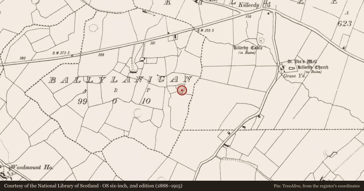 Ordnance Survey six-inch map, 2nd edition (1888–1915) covering the location of Ringfort - rath, Ballylanigan, County Limerick, with a pin at the register's coordinates