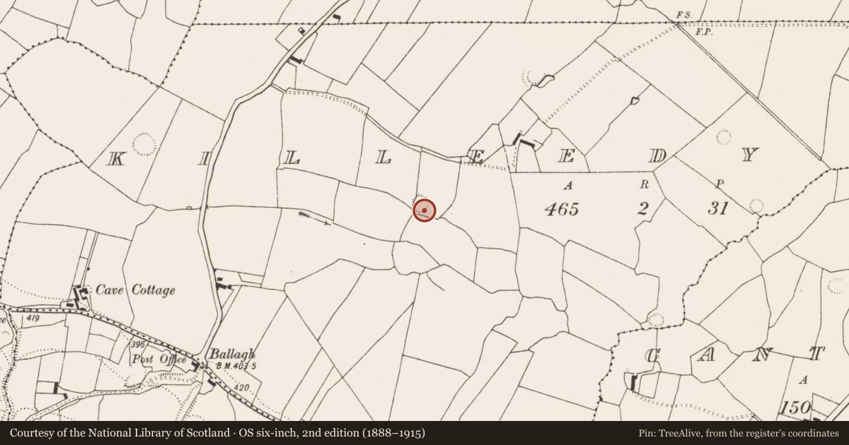 Ordnance Survey six-inch map, 2nd edition (1888–1915) covering the location of Ringfort - rath, Killeedy South, County Limerick, with a pin at the register's coordinates