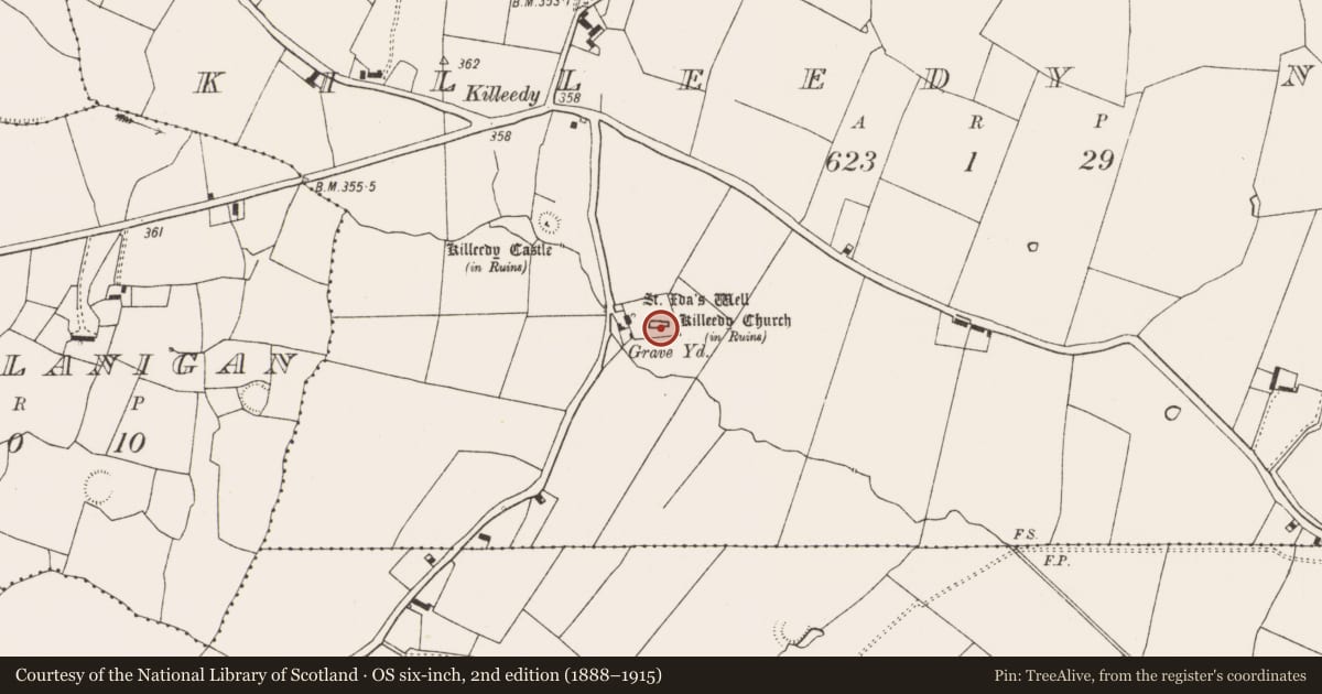 Ordnance Survey six-inch map, 2nd edition (1888–1915) covering the location of Church, Killeedy North, County Limerick, with a pin at the register's coordinates