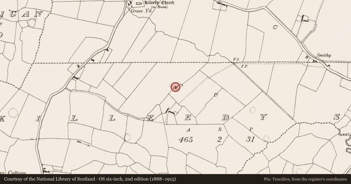 Ordnance Survey six-inch map, 2nd edition (1888–1915) covering the location of Ringfort - rath, Killeedy South, County Limerick, with a pin at the register's coordinates