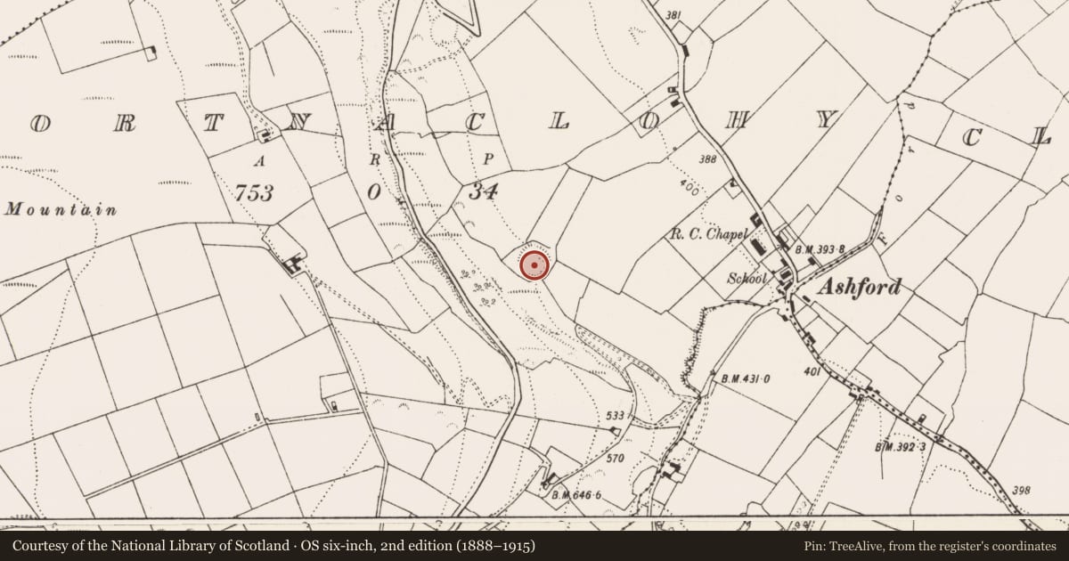 Ordnance Survey six-inch map, 2nd edition (1888–1915) covering the location of Ringfort - rath, Gortnaclohy, County Limerick, with a pin at the register's coordinates