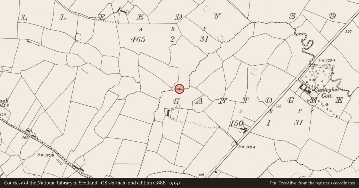 Ordnance Survey six-inch map, 2nd edition (1888–1915) covering the location of Ringfort - rath, Killeedy South, County Limerick, with a pin at the register's coordinates