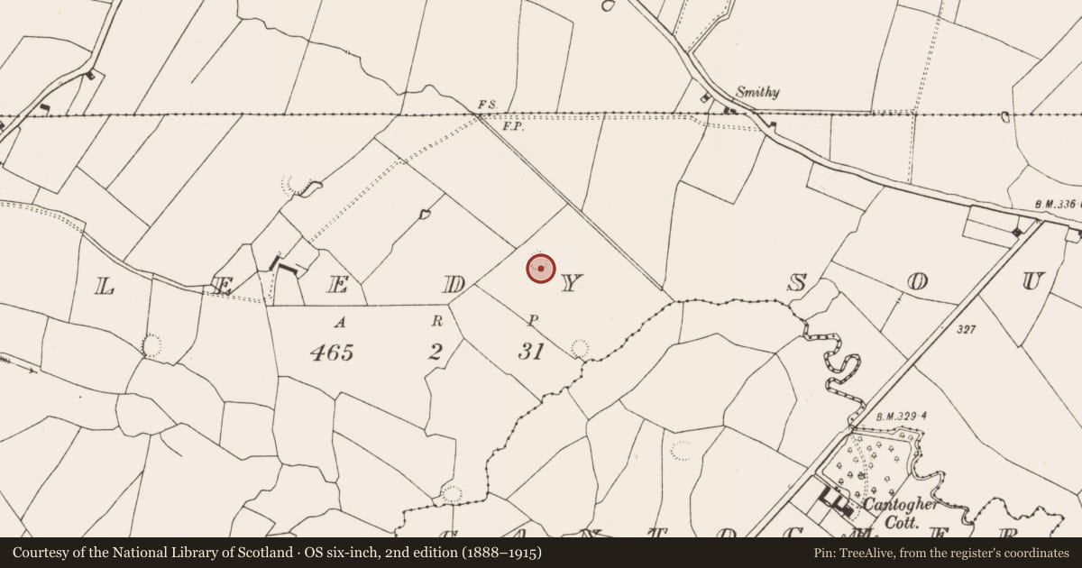 Ordnance Survey six-inch map, 2nd edition (1888–1915) covering the location of Ringfort - rath, Killeedy South, County Limerick, with a pin at the register's coordinates