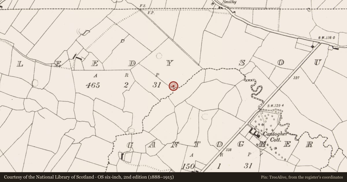 Ordnance Survey six-inch map, 2nd edition (1888–1915) covering the location of Ringfort - rath, Killeedy South, County Limerick, with a pin at the register's coordinates