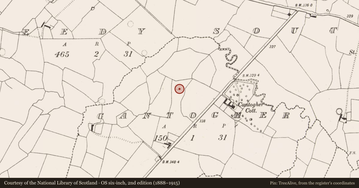 Ordnance Survey six-inch map, 2nd edition (1888–1915) covering the location of Ringfort - rath, Cantogher, County Limerick, with a pin at the register's coordinates