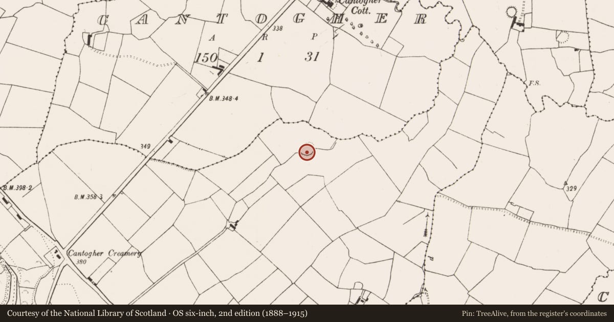 Ordnance Survey six-inch map, 2nd edition (1888–1915) covering the location of Enclosure, Gortnaclohy, County Limerick, with a pin at the register's coordinates