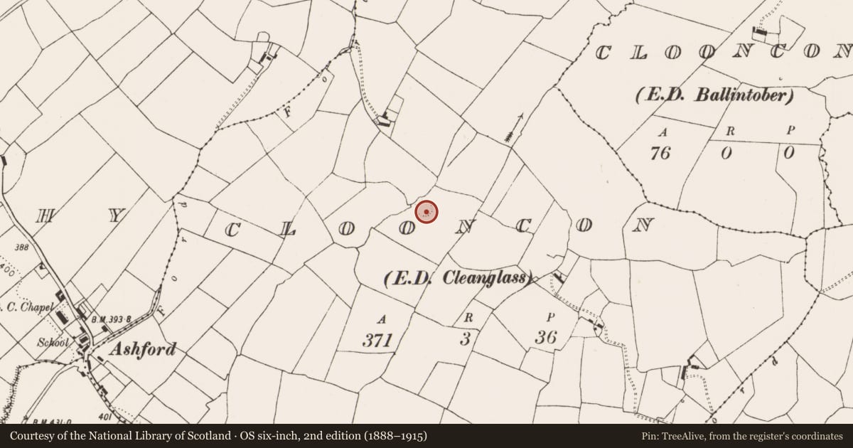 Ordnance Survey six-inch map, 2nd edition (1888–1915) covering the location of Ringfort - rath, Clooncon, County Limerick, with a pin at the register's coordinates
