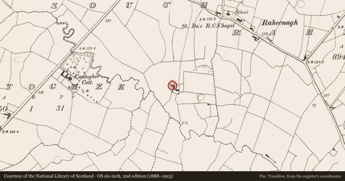 Ordnance Survey six-inch map, 2nd edition (1888–1915) covering the location of Enclosure, Killeedy South, County Limerick, with a pin at the register's coordinates