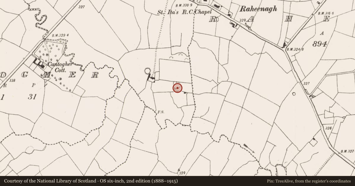 Ordnance Survey six-inch map, 2nd edition (1888–1915) covering the location of Ringfort - rath, Killeedy South, County Limerick, with a pin at the register's coordinates