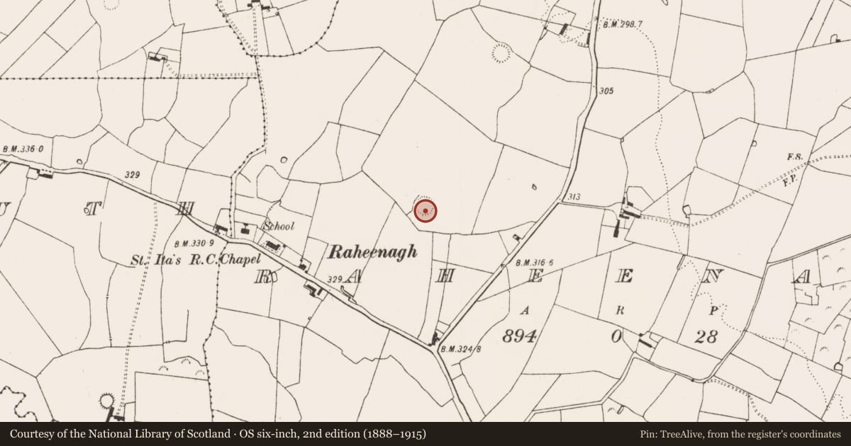 Ordnance Survey six-inch map, 2nd edition (1888–1915) covering the location of Ringfort - rath, Raheenagh, County Limerick, with a pin at the register's coordinates