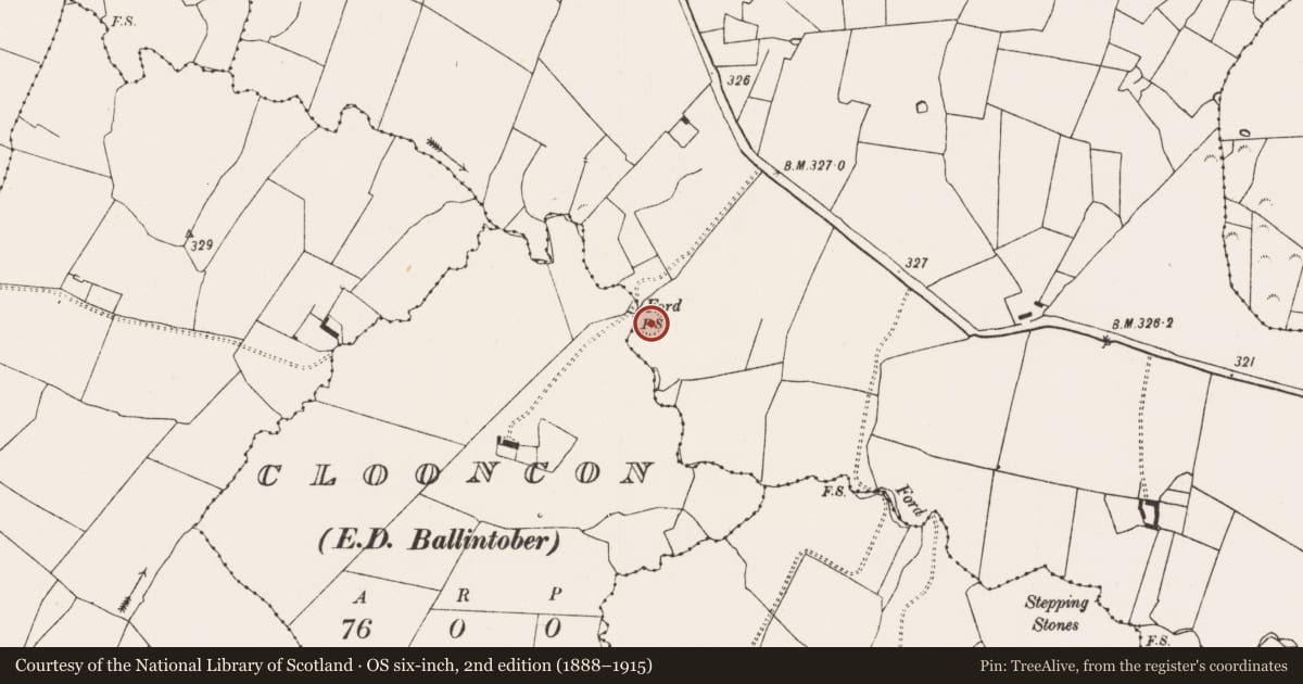Ordnance Survey six-inch map, 2nd edition (1888–1915) covering the location of Ringfort - rath, Raheenagh, County Limerick, with a pin at the register's coordinates