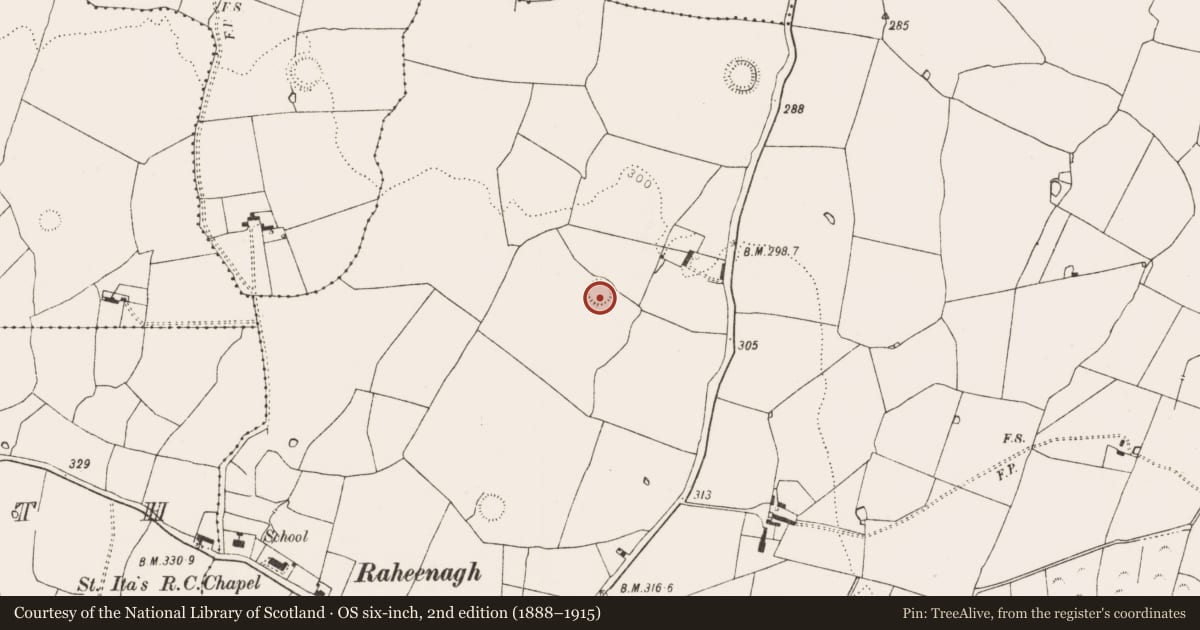 Ordnance Survey six-inch map, 2nd edition (1888–1915) covering the location of Ringfort - rath, Raheenagh, County Limerick, with a pin at the register's coordinates