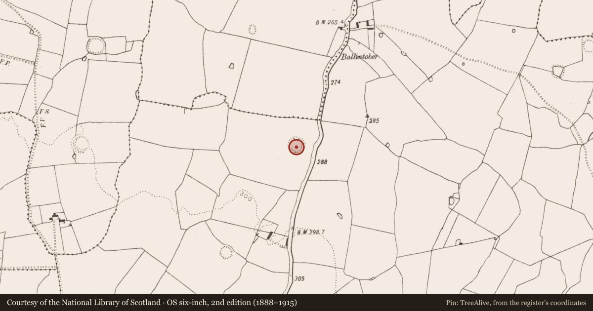 Ordnance Survey six-inch map, 2nd edition (1888–1915) covering the location of Ringfort - rath, Raheenagh, County Limerick, with a pin at the register's coordinates