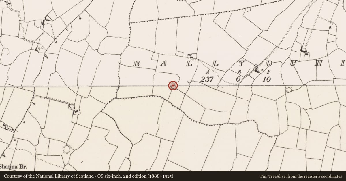 Ordnance Survey six-inch map, 2nd edition (1888–1915) covering the location of Ringfort - rath, Ballyduhig, County Limerick, with a pin at the register's coordinates