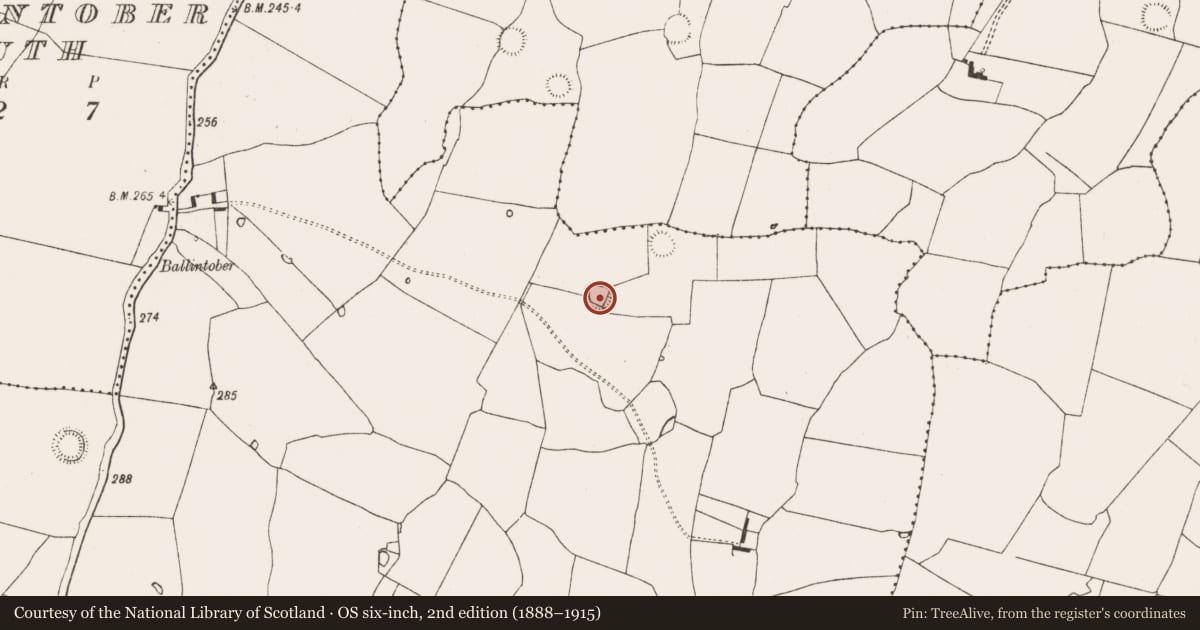 Ordnance Survey six-inch map, 2nd edition (1888–1915) covering the location of Ringfort - rath, Raheenagh, County Limerick, with a pin at the register's coordinates