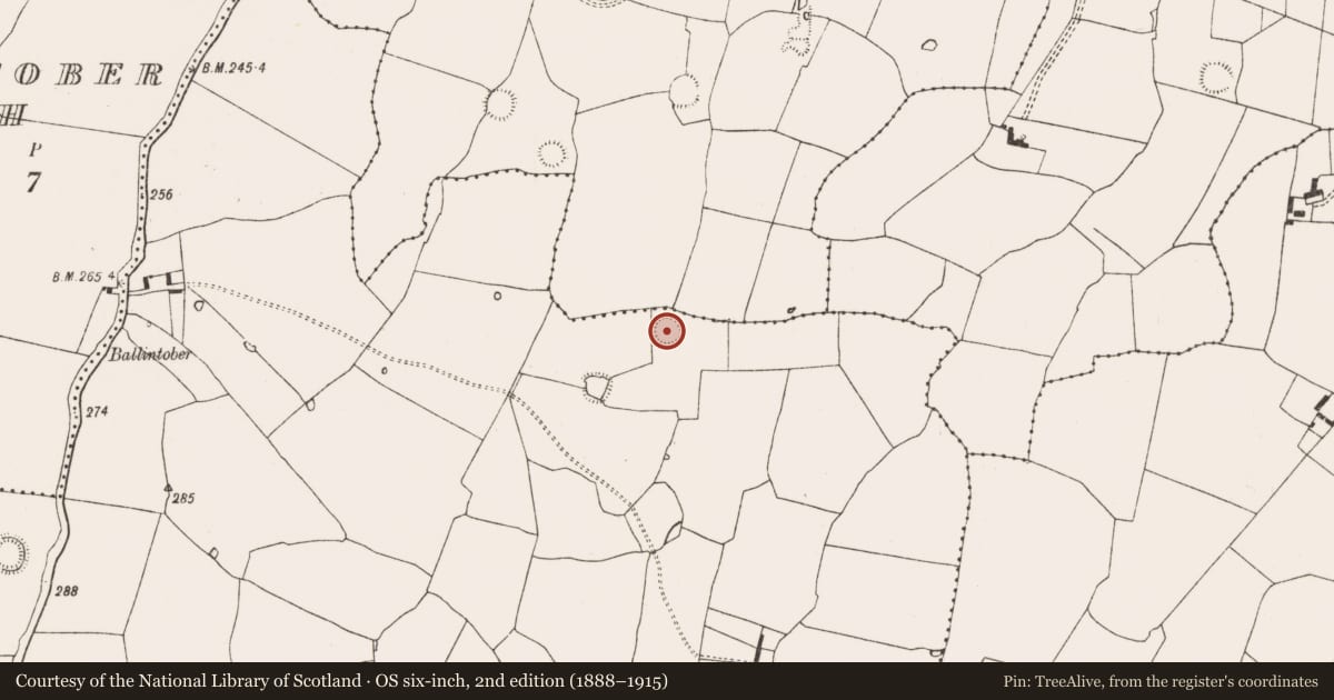 Ordnance Survey six-inch map, 2nd edition (1888–1915) covering the location of Ringfort - rath, Raheenagh, County Limerick, with a pin at the register's coordinates