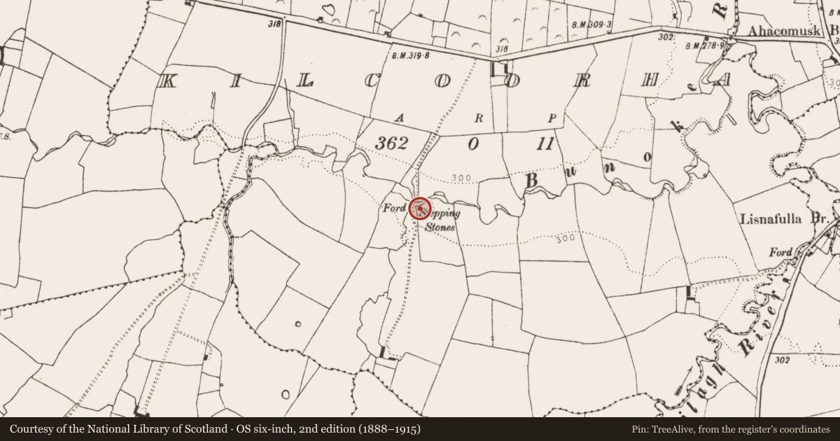 Ordnance Survey six-inch map, 2nd edition (1888–1915) covering the location of Ringfort - rath, Kilcoorha, County Limerick, with a pin at the register's coordinates