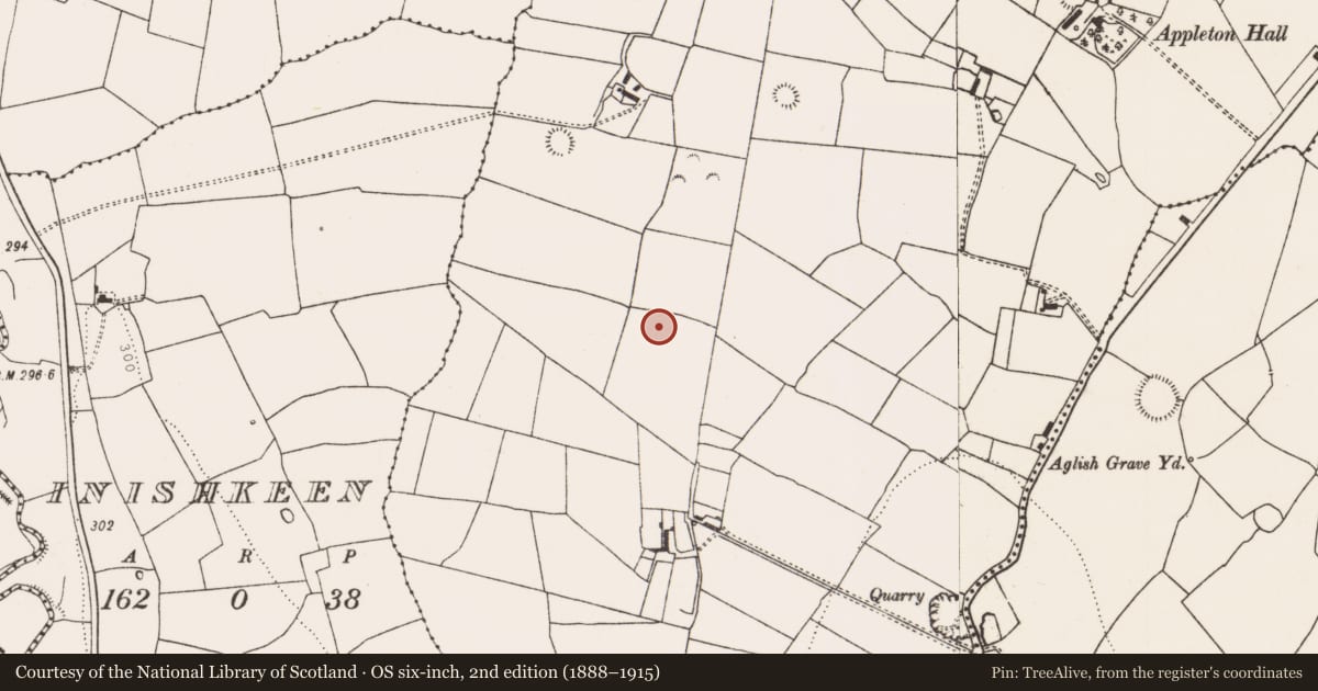 Ordnance Survey six-inch map, 2nd edition (1888–1915) covering the location of Ringfort - rath, Appletown, County Limerick, with a pin at the register's coordinates