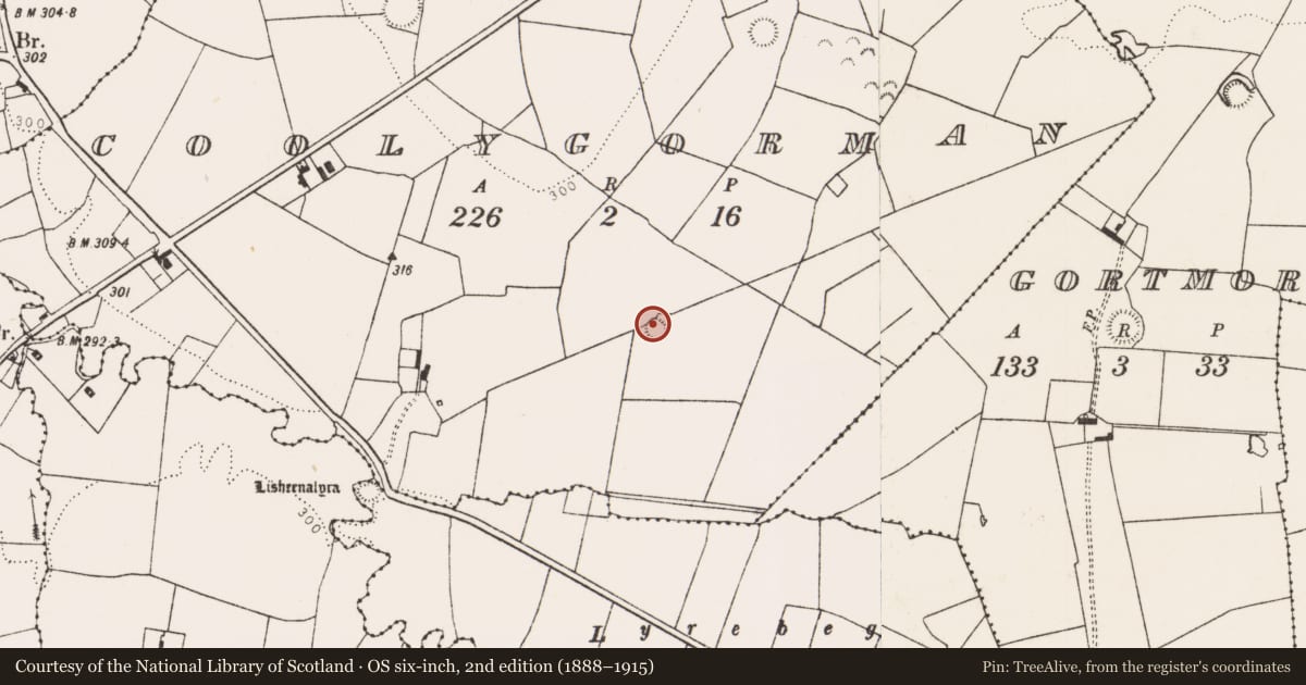 Ordnance Survey six-inch map, 2nd edition (1888–1915) covering the location of Ringfort - rath, Coolygorman, County Limerick, with a pin at the register's coordinates