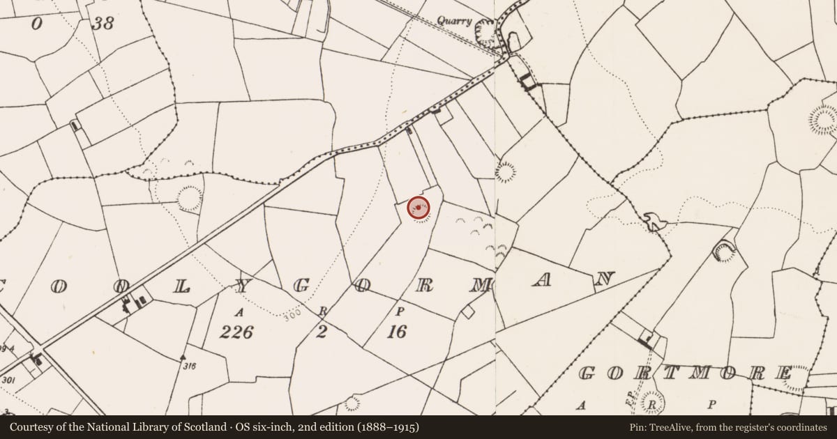 Ordnance Survey six-inch map, 2nd edition (1888–1915) covering the location of Ringfort - rath, Coolygorman, County Limerick, with a pin at the register's coordinates
