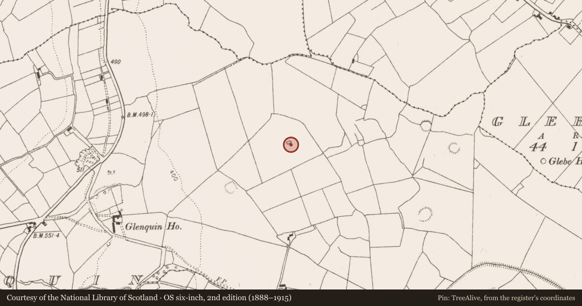 Ordnance Survey six-inch map, 2nd edition (1888–1915) covering the location of Enclosure, Glenquin, County Limerick, with a pin at the register's coordinates