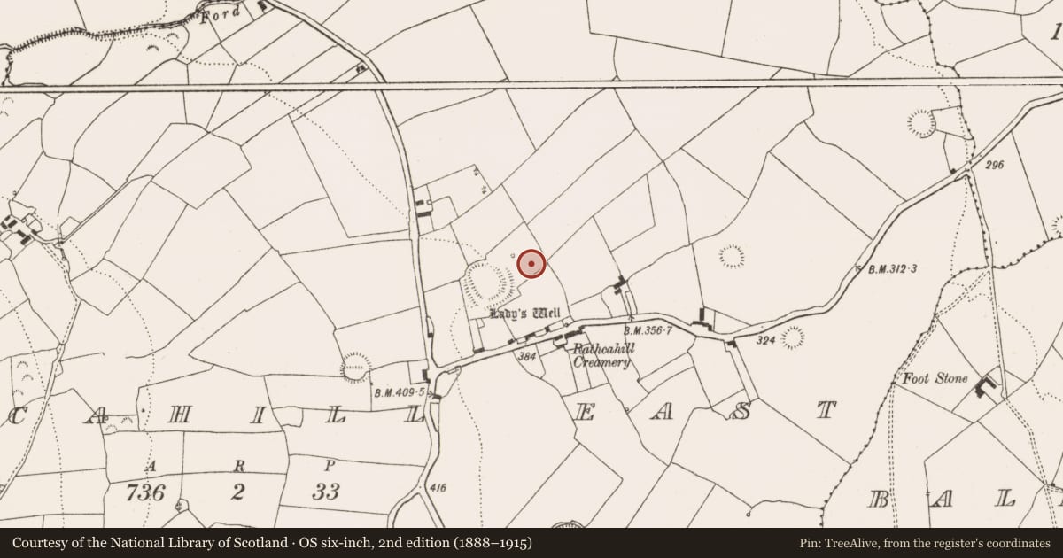 Ordnance Survey six-inch map, 2nd edition (1888–1915) covering the location of Enclosure, Rathcahill East, County Limerick, with a pin at the register's coordinates
