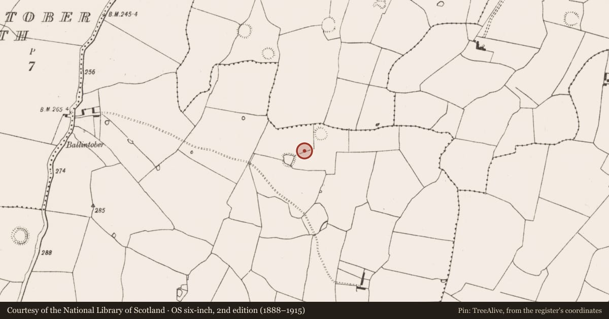 Ordnance Survey six-inch map, 2nd edition (1888–1915) covering the location of Mound, Raheenagh, County Limerick, with a pin at the register's coordinates