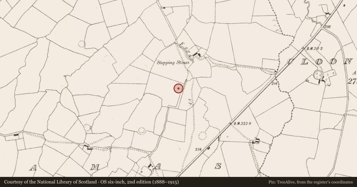 Ordnance Survey six-inch map, 2nd edition (1888–1915) covering the location of Ringfort - rath, Camas, County Limerick, with a pin at the register's coordinates